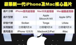 代号n最新爆料,最新爆料揭示神秘事件全貌